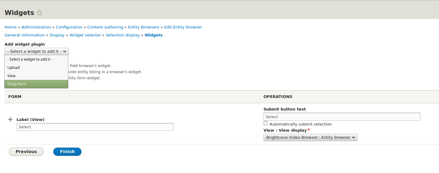 Select add widget plugin entity form option.