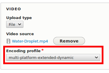 Properly set encoding profile.